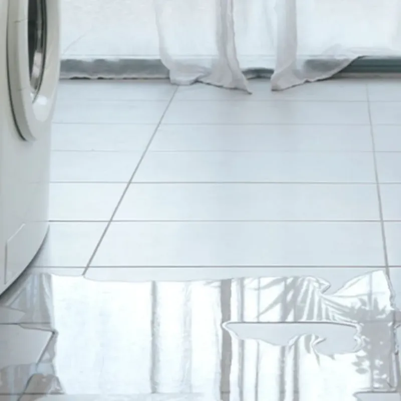 Appliance Leak Cleanup in Grant Park, IL