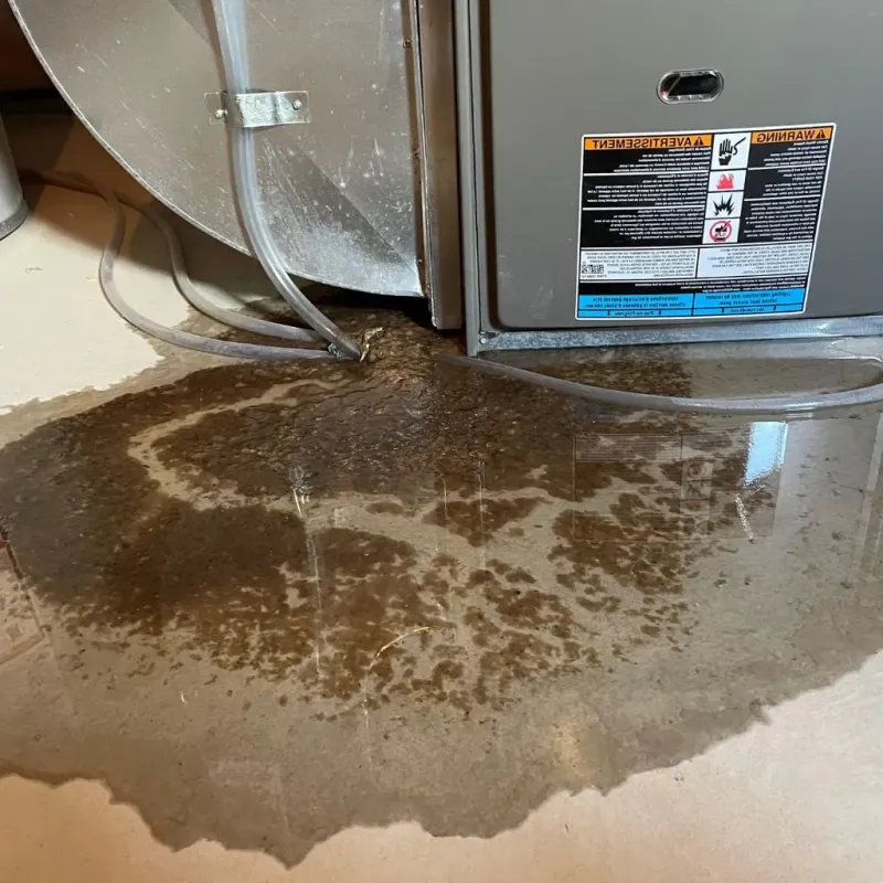 Pipe Burst and Leak Restoration in Grant Park, IL