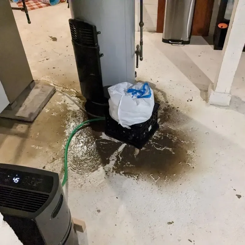 Sewage Backup Cleanup Service in Grant Park, IL